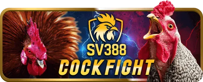 Nhấn nút đăng ký ceo666 link vào